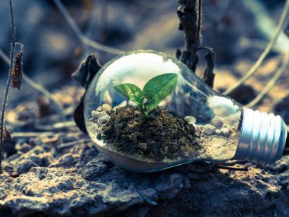 Everybody else is doing it, so why can't we?