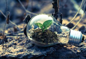 Everybody else is doing it, so why can't we?